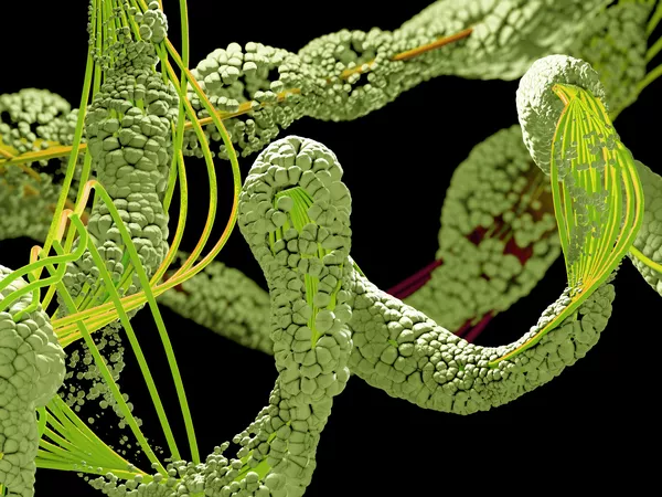 Frontiers in Natural Products